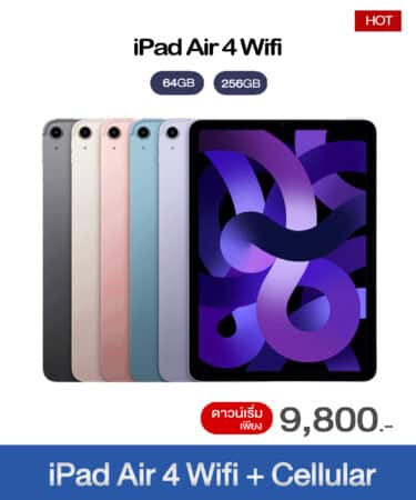 iPad Air4 Wifi+Cellular-1